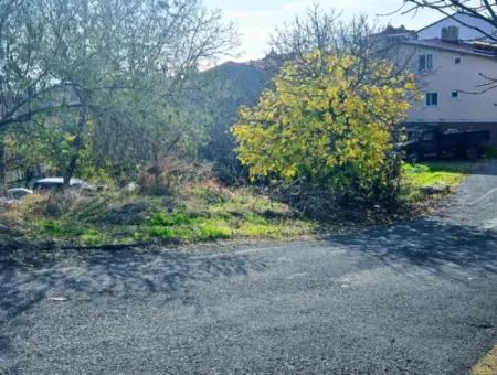 2 Plots Of Land For Urgent Sale 2 Detached Houses Suitable For Building Coupon Land