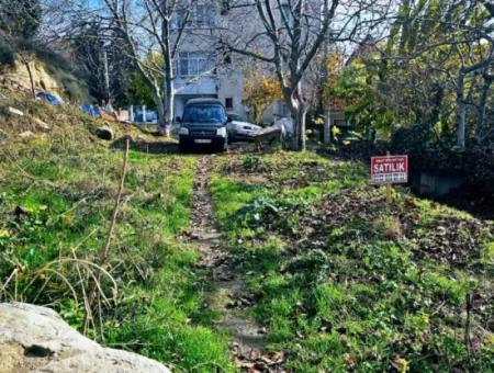 2 Plots Of Land For Urgent Sale 2 Detached Houses Suitable For Building Coupon Land