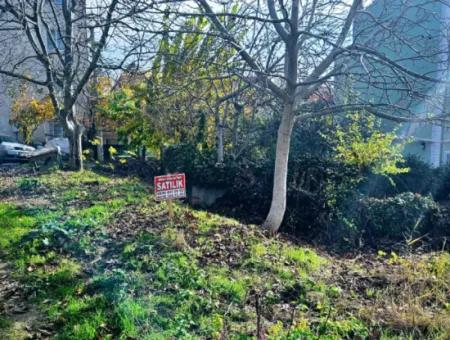 2 Plots Of Land For Urgent Sale 2 Detached Houses Suitable For Building Coupon Land