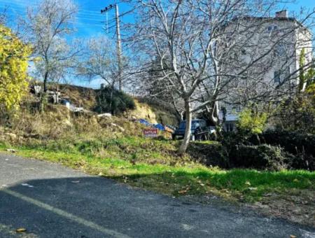2 Plots Of Land For Urgent Sale 2 Detached Houses Suitable For Building Coupon Land