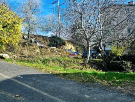 2 Plots Of Land For Urgent Sale 2 Detached Houses Suitable For Building Coupon Land