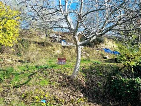 2 Plots Of Land For Urgent Sale 2 Detached Houses Suitable For Building Coupon Land