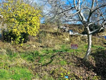 2 Plots Of Land For Urgent Sale 2 Detached Houses Suitable For Building Coupon Land