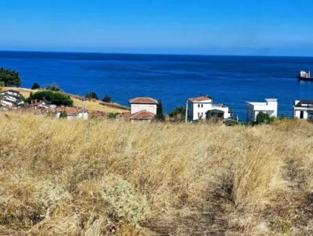 Opportunity Land Suitable For Building A Detached House In A Wonderful Location In Tekirdag Barbarosta, Close To The Sea