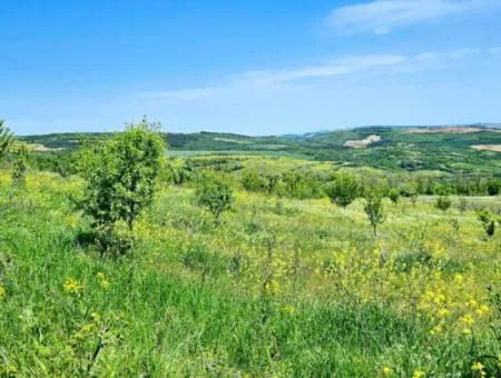 A Great Opportunity To Build Your Farm In Your Family For Urgent Sale 2,600 Acres Of Pasture Front