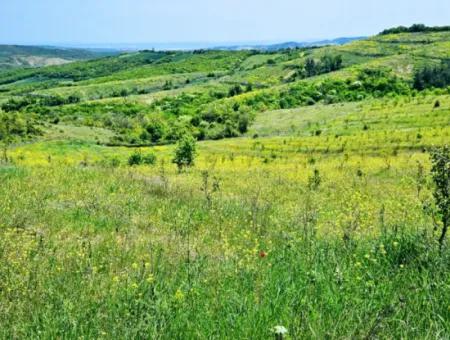 A Great Opportunity To Build Your Farm In Your Family For Urgent Sale 2,600 Acres Of Pasture Front
