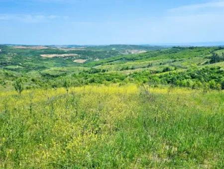 A Great Opportunity To Build Your Farm In Your Family For Urgent Sale 2,600 Acres Of Pasture Front