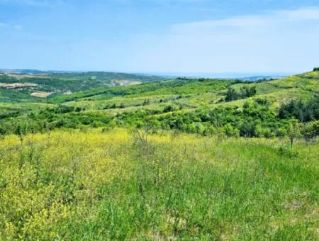 A Great Opportunity To Build Your Farm In Your Family For Urgent Sale 2,600 Acres Of Pasture Front