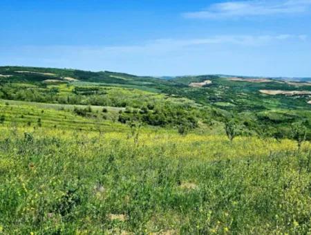 A Great Opportunity To Build Your Farm In Your Family For Urgent Sale 2,600 Acres Of Pasture Front