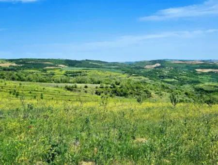A Great Opportunity To Build Your Farm In Your Family For Urgent Sale 2,600 Acres Of Pasture Front