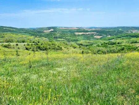 A Great Opportunity To Build Your Farm In Your Family For Urgent Sale 2,600 Acres Of Pasture Front