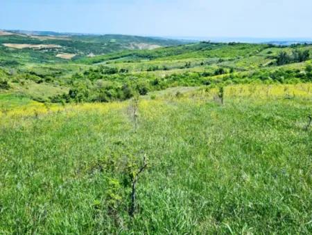A Great Opportunity To Build Your Farm In Your Family For Urgent Sale 2,600 Acres Of Pasture Front