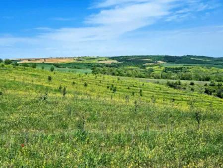 A Great Opportunity To Build Your Farm In Your Family For Urgent Sale 2,600 Acres Of Pasture Front
