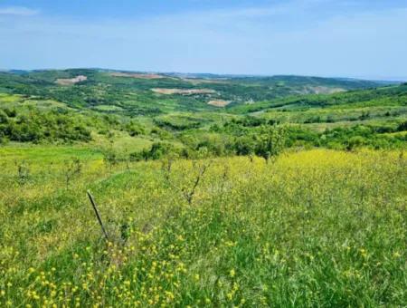 A Great Opportunity To Build Your Farm In Your Family For Urgent Sale 2,600 Acres Of Pasture Front