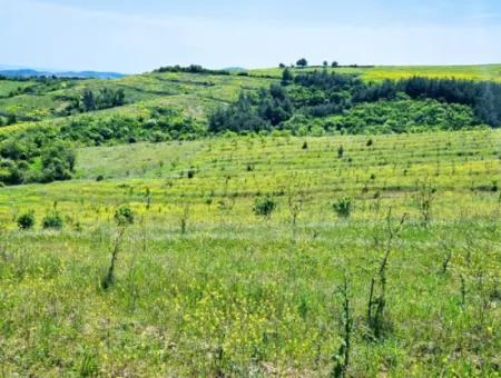 A Great Opportunity To Build Your Farm In Your Family For Urgent Sale 2,600 Acres Of Pasture Front