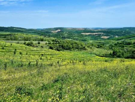 A Great Opportunity To Build Your Farm In Your Family For Urgent Sale 2,600 Acres Of Pasture Front