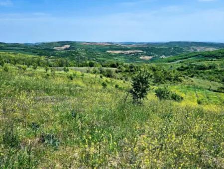 A Great Opportunity To Build Your Farm In Your Family For Urgent Sale 2,600 Acres Of Pasture Front
