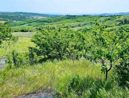 A Great Opportunity To Build Your Farm In Your Family For Urgent Sale 2,600 Acres Of Pasture Front
