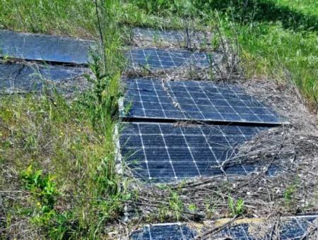 A Great Opportunity To Build Your Farm In Your Family For Urgent Sale 2,600 Acres Of Pasture Front
