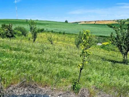 A Great Opportunity To Build Your Farm In Your Family For Urgent Sale 2,600 Acres Of Pasture Front