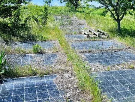 A Great Opportunity To Build Your Farm In Your Family For Urgent Sale 2,600 Acres Of Pasture Front
