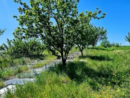 A Great Opportunity To Build Your Farm In Your Family For Urgent Sale 2,600 Acres Of Pasture Front