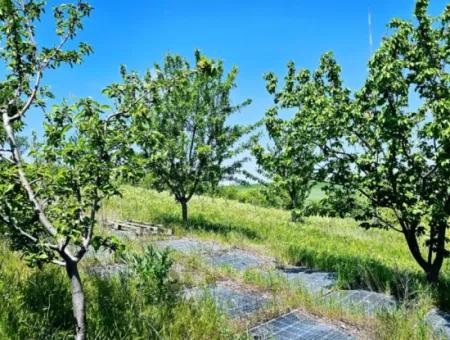 A Great Opportunity To Build Your Farm In Your Family For Urgent Sale 2,600 Acres Of Pasture Front