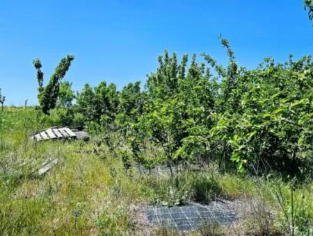 A Great Opportunity To Build Your Farm In Your Family For Urgent Sale 2,600 Acres Of Pasture Front