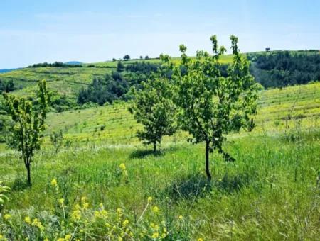A Great Opportunity To Build Your Farm In Your Family For Urgent Sale 2,600 Acres Of Pasture Front