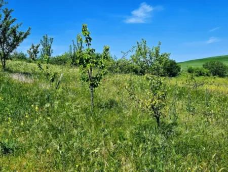 A Great Opportunity To Build Your Farm In Your Family For Urgent Sale 2,600 Acres Of Pasture Front