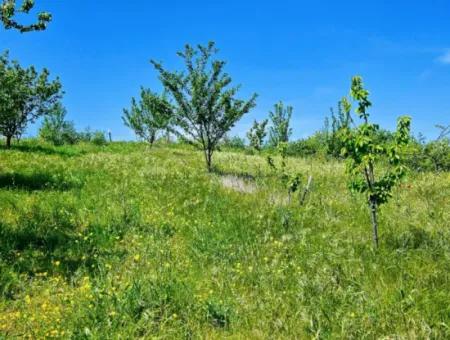 A Great Opportunity To Build Your Farm In Your Family For Urgent Sale 2,600 Acres Of Pasture Front
