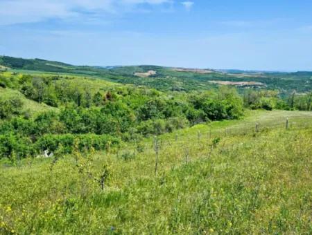 A Great Opportunity To Build Your Farm In Your Family For Urgent Sale 2,600 Acres Of Pasture Front