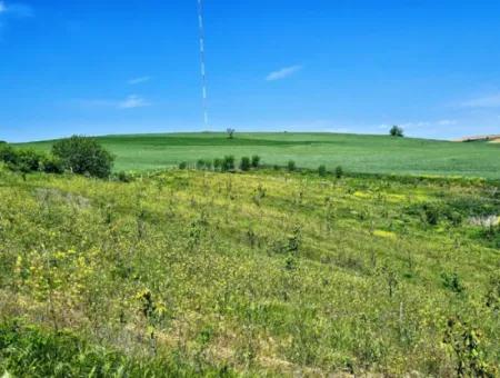 A Great Opportunity To Build Your Farm In Your Family For Urgent Sale 2,600 Acres Of Pasture Front