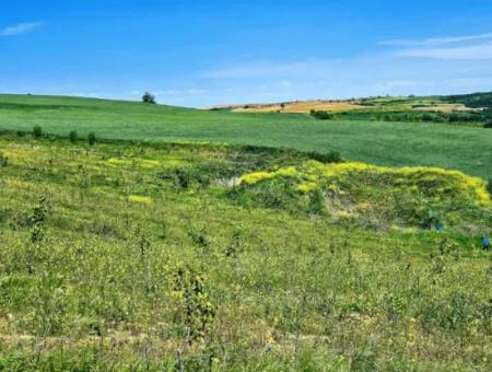 A Great Opportunity To Build Your Farm In Your Family For Urgent Sale 2,600 Acres Of Pasture Front