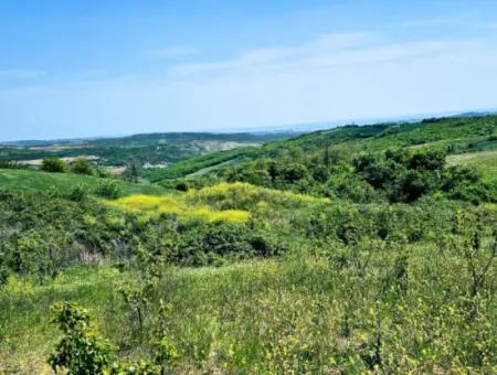 A Great Opportunity To Build Your Farm In Your Family For Urgent Sale 2,600 Acres Of Pasture Front