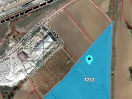 Land For Sale In 19,500 Square Meters Of Commercial And Industrial Area In Nusuratlı Area Of Tekirdağ