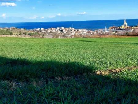 17 980 M2 Field For Sale Close To Tekirdag Barbaros Asyaport Port