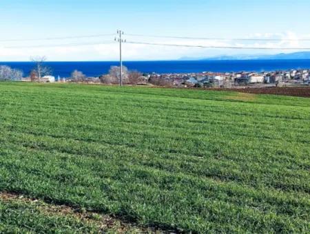 Located In Süleymanpaşa Barbaros, Tekirdag, This 11.100 M2 Residential Land Is Located In A Great Location.