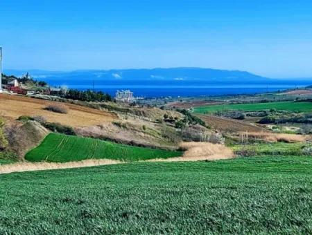 Land For Sale In 19,500 Square Meters Of Commercial And Industrial Area In Nusuratlı Area Of Tekirdağ