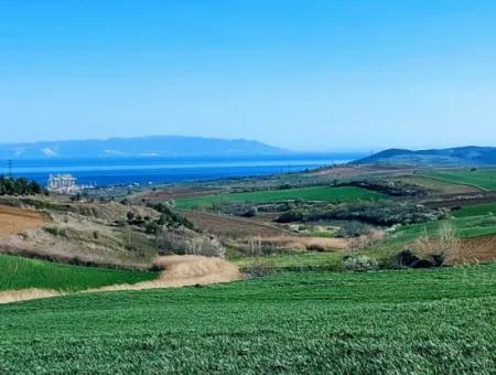 Land For Sale In 19,500 Square Meters Of Commercial And Industrial Area In Nusuratlı Area Of Tekirdağ