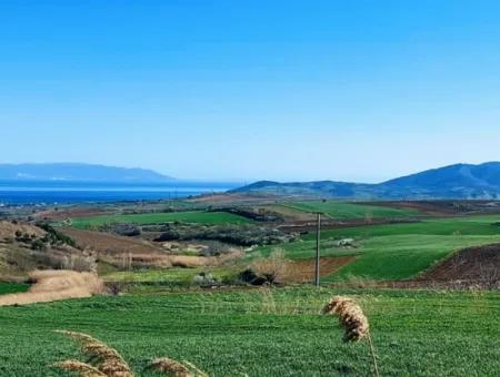 Land For Sale In 19,500 Square Meters Of Commercial And Industrial Area In Nusuratlı Area Of Tekirdağ