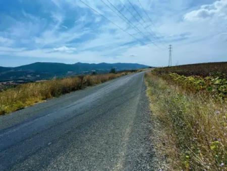 10.500 M2 Investment Field With The Advantage Of Open Road In Summer And Winter In Tekirdağ Çanakçı District! Great Opportunity For Family Picnic, Viticulture And Hobby Garden