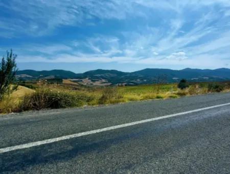 10.500 M2 Investment Field With The Advantage Of Open Road In Summer And Winter In Tekirdağ Çanakçı District! Great Opportunity For Family Picnic, Viticulture And Hobby Garden