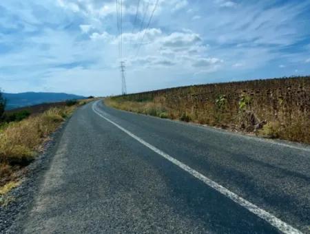 10.500 M2 Investment Field With The Advantage Of Open Road In Summer And Winter In Tekirdağ Çanakçı District! Great Opportunity For Family Picnic, Viticulture And Hobby Garden