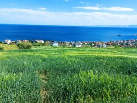 Tekirdag Barbarosta 42 Flats For Urgent Sale Cooperative And Suitable Place For Site Construction