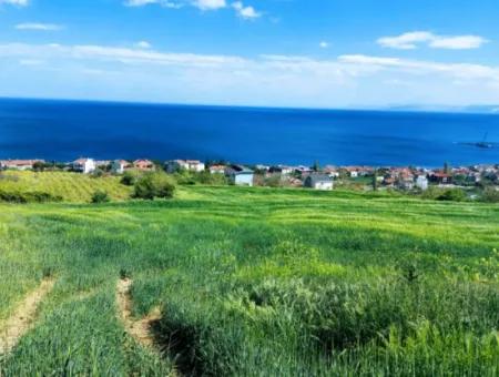 Tekirdag Barbarosta 42 Flats For Urgent Sale Cooperative And Suitable Place For Site Construction