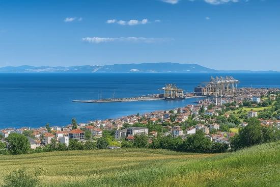 Барбаросса