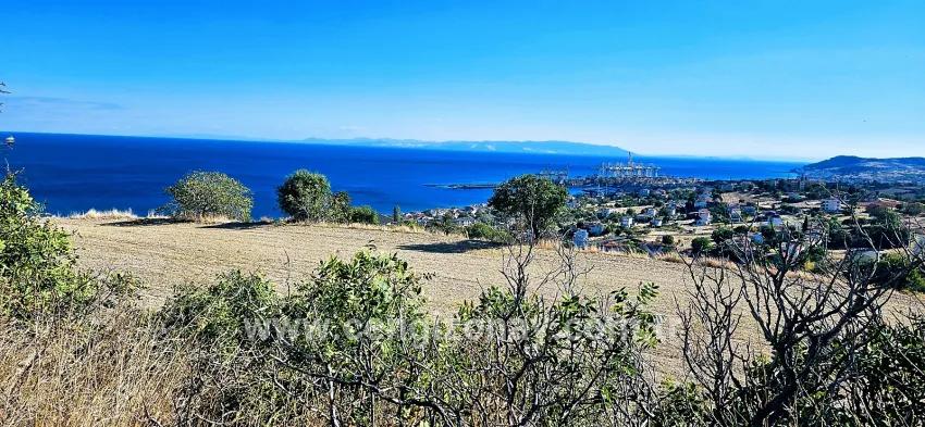 Для продажи Сюжет в Barbaros Süleymanpaşa Kumbağ - Под Жилье застройку - 2.780 m²