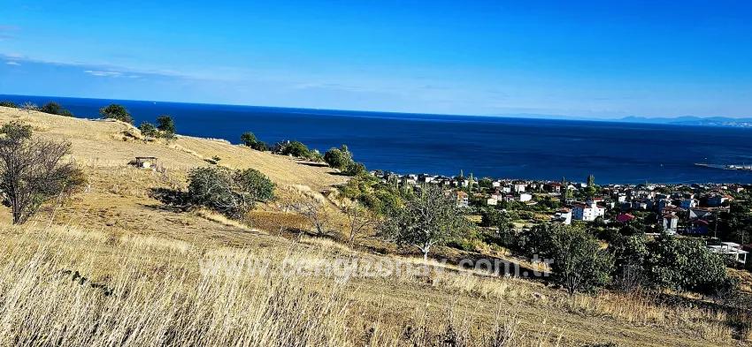 Для продажи Сюжет в Barbaros Süleymanpaşa Kumbağ - Под Жилье застройку - 530 m²