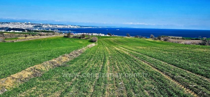 Участок С Панорамным Видом На Море И Природу, Подходящий Для Строительства 75 Вилл В Текирдаге Барбароста